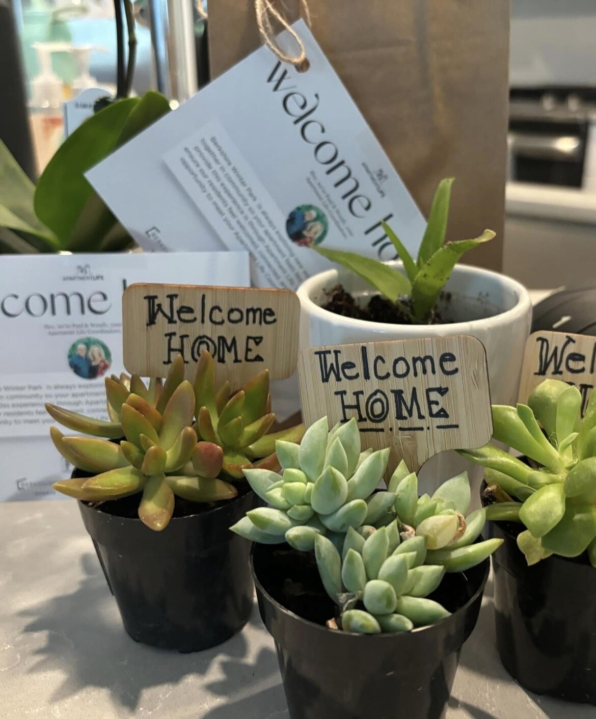 welcome gift